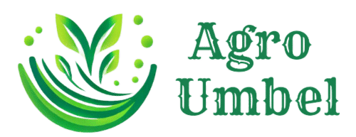 Agro Umbel