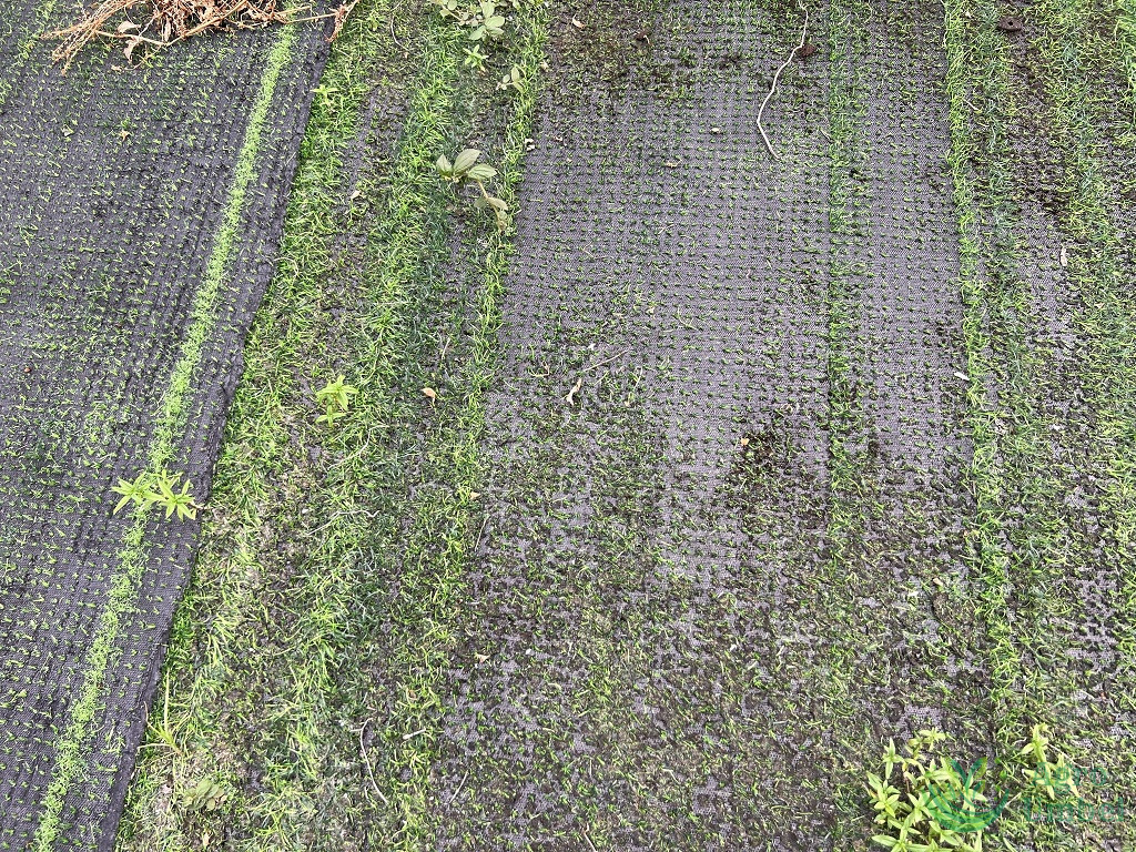 artificial grass break down