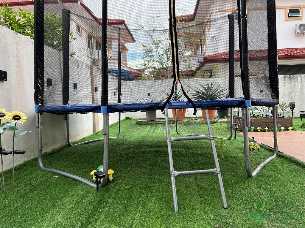artificial grass trampoline with ladder