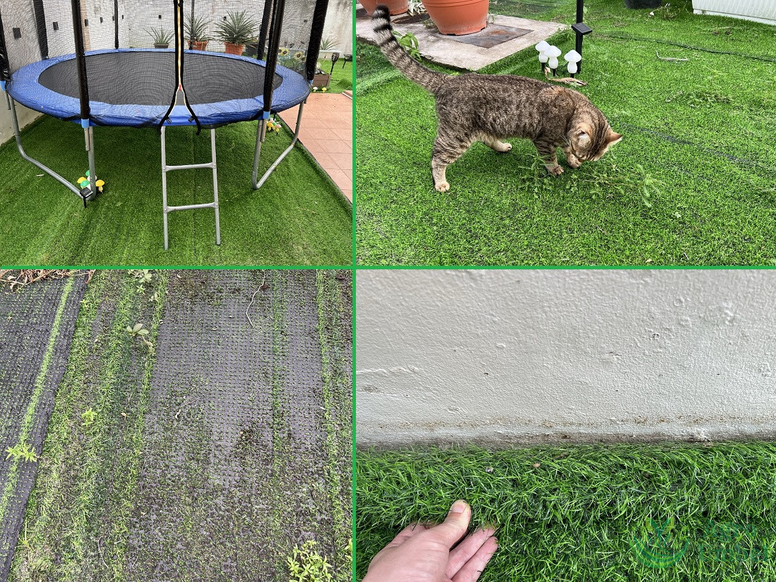 Pros and Cons of artificial grass