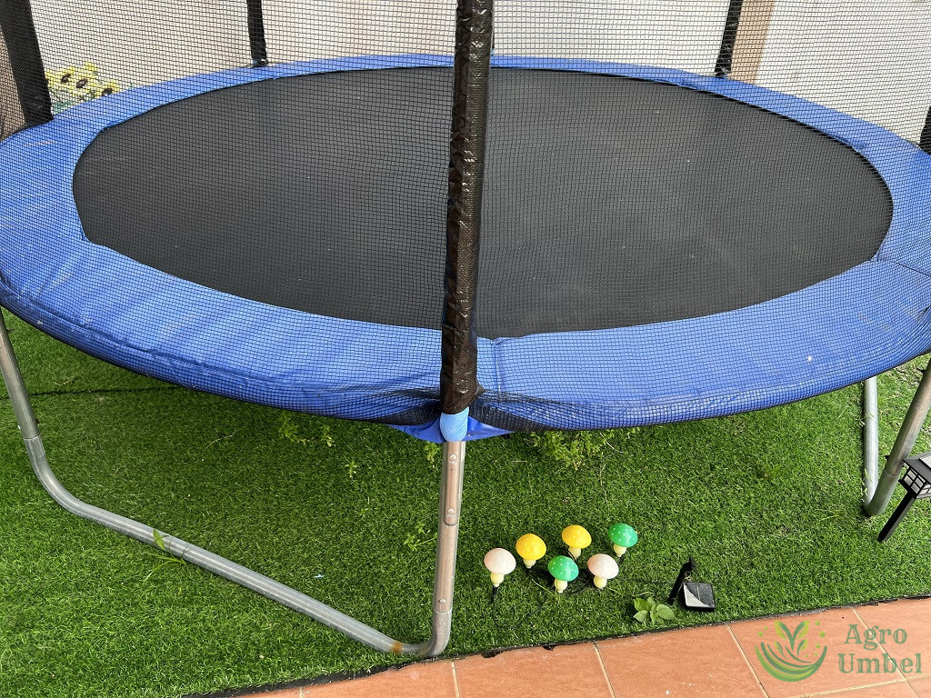 trampoline on artificial grass